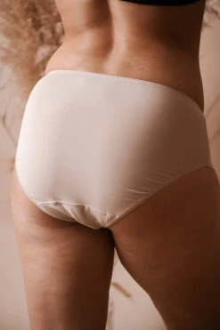 Culotte Haute Microfibre -Velours Intime Boutique MC202102041360 250