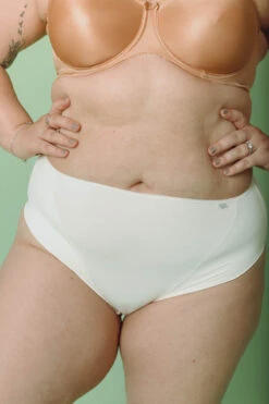 Culotte Haute Microfibre -Velours Intime Boutique MC202105131535 319