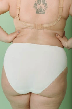 Culotte Haute Microfibre -Velours Intime Boutique MC202105131535 322