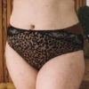 PRIMA DONNA Culotte Haute Madison Bronze -Velours Intime Boutique soutien gorgemadisonprimadonnaleopardnoirmarron 4
